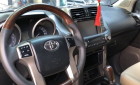 Toyota Prado TXL 2010 - Cần bán xe Toyota Prado TXL năm 2010, nhập khẩu nguyên chiếc chính chủ