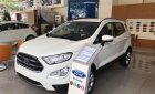 Ford EcoSport 1.0L AT Titanium 2018 - Bán Ford Ecosport Titanium tại Hải Dương giao ngay, đủ màu, giảm cực mạnh, hỗ trợ 80%, 8 năm - LH: 0942552831