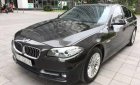 BMW 5 Series  520i 2015 - Bán xe BMW 5 Series 520i sản xuất năm 2015, màu đen 