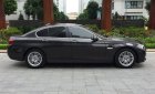 BMW 5 Series  520i 2015 - Bán xe BMW 5 Series 520i sản xuất năm 2015, màu đen 