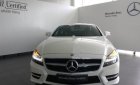 Mercedes-Benz CLS class 350 AMG  2016 - Bán Mercedes 350 AMG 2016, nhập khẩu, xe đẹp