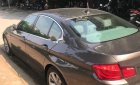 BMW 5 Series 523i 2010 - Cần bán BMW 5 Series 523i đời 2010, màu nâu 