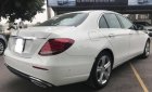 Mercedes-Benz E class E250 2016 - Cần bán xe Mercedes E250 2016, màu trắng