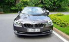 BMW 5 Series 520i 2013 - Cần bán xe BMW 5 Series 520i đời 2013, màu nâu, nhập khẩu nguyên chiếc như mới