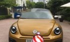 Volkswagen Beetle   Dune   2017 - Bán Wolkwagen Beetle Sx 2017 ĐK 2018, bản 2.0, 2 cửa