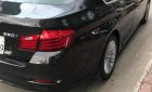 BMW 5 Series 520i 2015 - Cần bán gấp BMW 5 Series 520i 2015, màu đen, nhập khẩu  