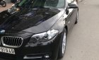 BMW 5 Series 520i 2015 - Cần bán gấp BMW 5 Series 520i 2015, màu đen, nhập khẩu  