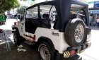 Jeep Wrangler 2002 - Cần bán gấp Jeep Wrangler năm 2002, màu trắng, nhập khẩu