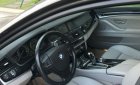 BMW 5 Series 523i 2010 - Bán ô tô BMW 5 Series 523i năm 2010, màu xám