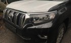 Toyota Prado VX 2.7L 2018 - Cần bán Toyota Prado VX 2.7L sản xuất năm 2018, màu đen, nhập khẩu