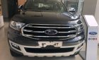 Ford Everest Titanium 2.0L AT Si Turbo 4x2  2018 - Bán Ford Everest Titanium 2.0L AT Si Turbo 4x2 năm 2018, màu xám, nhập khẩu nguyên chiếc