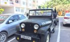 Jeep Wrangler 1980 - Bán xe Jeep Wrangler năm 1980, màu xanh lục, xe nhập, giá tốt