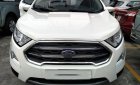 Ford EcoSport Ecoboost 2018 - Bán Ford Ecosport 1.0 Ecoboost 2018 bhvc, 3m, camera