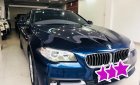 BMW 5 Series 520i 2015 - Bán BMW 520i 2015, xe đẹp đi 22.000km, full đồ chơi, cam kết bao test hãng