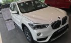 BMW X1   2018 - Bmw Phú Mỹ Hưng - BMW X1 Sdrive18i sx 2018 - mới 100% nhập khẩu nguyên chiếc