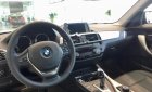 BMW 1 Series 118i 2018 - Cần bán xe BMW 1 Series 118i 2018, nhập khẩu  