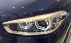 BMW 1 Series 118i 2018 - Cần bán xe BMW 1 Series 118i 2018, nhập khẩu  