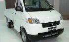 Suzuki Carry 2018 - Bán Suzuki Carry Pro 2018 nhập khẩu Idonesia giá tốt, lh: 0939298528