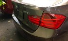 BMW 3 Series  320i 2013 - Bán ô tô BMW 3 Series 320i đời 2013, màu nâu, nhập khẩu nguyên chiếc, nội thất đen