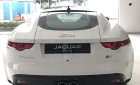 Jaguar F Type  Sport  2017 - Bán Jaguar F-Type Sport chính hãng - Giao ngay với quà tặng và phụ kiện lớn - Hotline: 0938302233