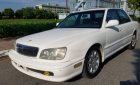 Hyundai Grandeur   3.0 AT  1995 - Bán Hyundai Grandeur 3.0 AT 1995, màu trắng số tự động, 68 triệu