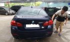 BMW 5 Series 520i 2014 - Cần bán xe BMW 5 Series 520i 2014, màu xanh lam, xe nhập