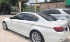 BMW 5 Series 520i 2016 - Bán BMW 5 Series 520i, màu trắng, nhập khẩu