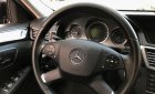 Mercedes-Benz E class E250 Avantgarde 2010 - Mercedes E250 Avantgarde màu đen còn rất đẹp