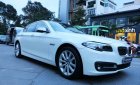 BMW 5 Series 520i 2016 - BMW 5 Series 520i năm sản xuất 2016