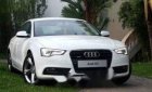 Audi A5 2013 - Bán Audi A5 nhập khẩu của Đức, chính chủ biển số Sài Gòn, bao test hãng, nội thất mới