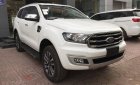 Ford Everest 2018 - Bán Ford Everest năm sản xuất 2018, màu vàng, xe nhập. Hotline 0979572297