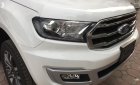 Ford Everest 2018 - Bán Ford Everest năm sản xuất 2018, màu vàng, xe nhập. Hotline 0979572297