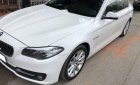 BMW 5 Series  520i  2016 - Bán BMW 5 Series 520i 2016, màu trắng, xe nhập số tự động