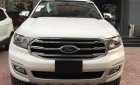 Ford Everest 2018 - Bán Ford Everest năm sản xuất 2018, màu vàng, xe nhập. Hotline 0979572297