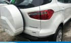 Ford EcoSport Titanium 1.0 EcoBoost AT 2018 - Bán Ford EcoSport Titanium 1.0 EcoBoost AT 2018 giá tốt, hỗ trợ trả góp | 0933886863