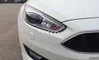 Ford Focus Sport 1.5L 2018 - Bán Ford Focus Sport 1.5L sản xuất 2018, màu trắng