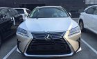 Lexus RX 300 2018 - TPHCM bán xe Lexus RX 300 năm sản xuất 2018, màu vàng, nhập khẩu