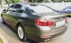 BMW 5 Series 520i 2014 - Bán BMW 5 Series 520i 2014, màu nâu, nhập khẩu