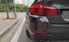 BMW 5 Series 520i 2015 - Bán ô tô BMW 5 Series 520i đời 2015, màu đen, xe nhập