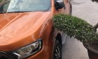 Ford Ranger 2016 - Xe cũ Ford Ranger đời 2016, màu nâu, nhập khẩu