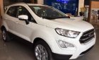 Ford EcoSport  Titanium AT 2018 - Bán Ford EcoSport năm sản xuất 2018, màu trắng giá tốt
