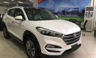 Hyundai Tucson 2018 - Hyundai Gia Định bán Hyundai Tucson năm sản xuất 2018, màu trắng