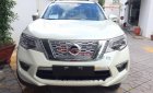 Nissan Terrano 2.5 V 2018 - Bán Nissan Terrano 2.5 V 2018, màu trắng, nhập khẩu Thái Lan