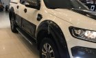 Ford Ranger Wildtrak 2016 - Bán ô tô Ford Ranger Wildtrak 2016, màu trắng, nhập khẩu