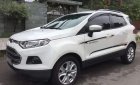 Ford EcoSport 2015 - Bán Ford EcoSport đời 2015, màu trắng xe gia đình