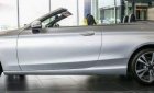 Mercedes-Benz C class  C200 Cabriolet   2018 - Bán Mercedes C200 Cabriolet năm 2018, màu bạc, nhập khẩu nguyên chiếc