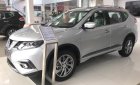 Nissan X trail 2018 - Bán xe Nissan X trail đời 2018, màu bạc, nhập khẩu
