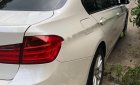 BMW 3 Series 320i 2013 - Bán xe cũ BMW 3 Series 320i 2013, màu trắng, nhập khẩu nguyên chiếc