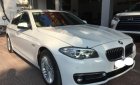BMW 5 Series 520i 2014 - Việt Tuấn Auto bán xe BMW 5 Series 520i 2014, màu trắng, nhập khẩu