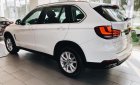 BMW X3 X-Drive 35i  2018 - BMW X5 X-Drive 35i sx 2018, sẵn xe giao ngay, hỗ trợ vay 85% giá trị xe